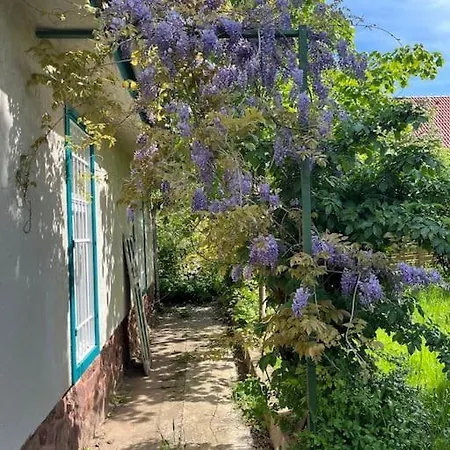 Holiday home Romantic Old Mansion At Lake Balaton *